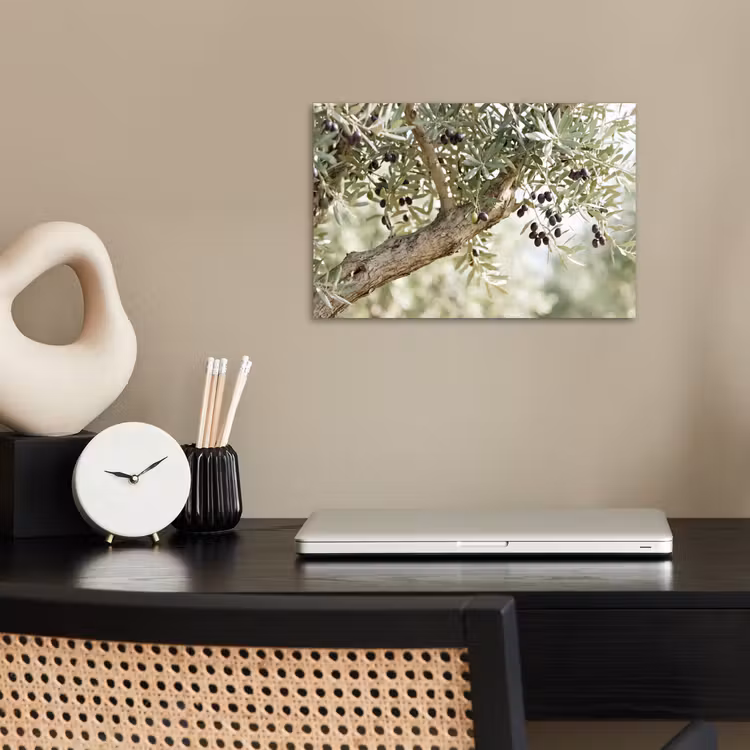 Poster - Olive tree - branch - green - Olijfboom - tak - groen poster papier klein