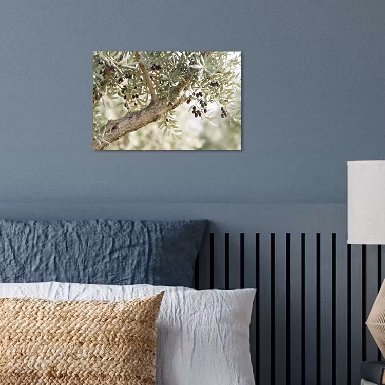 Poster - Olive tree - branch - green - Olijfboom - tak - groen poster papier klein