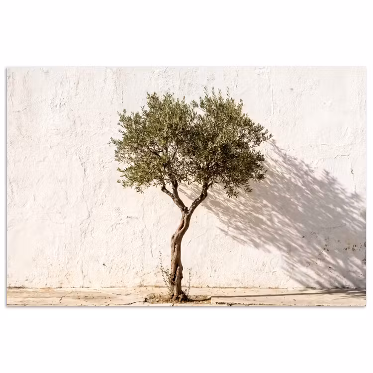 Poster - Olive Tree - Wall - White - Olijfboom - muur - wit poster papier klein