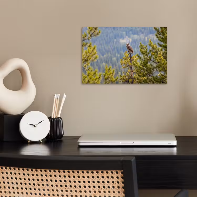 Uil - Oehoe - Bomen - Natuur poster papier klein -sfeer1
