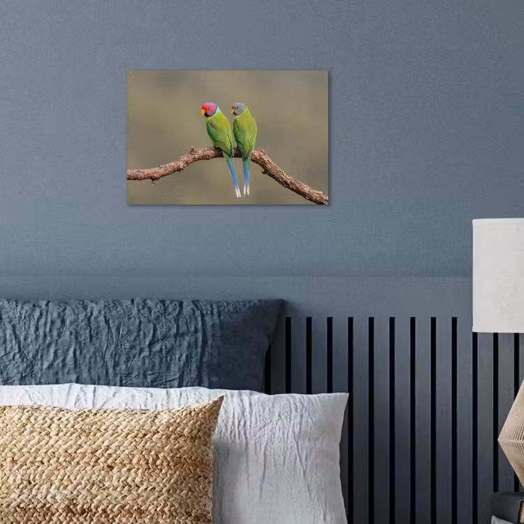 Papagaai - Tak - Natuur - Kleurrijk poster papier klein -sfeer2