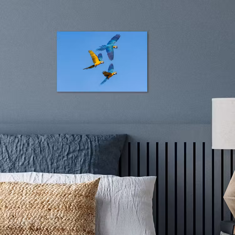 Papagaai - Vliegen - Blauw - Geel poster papier klein -sfeer2