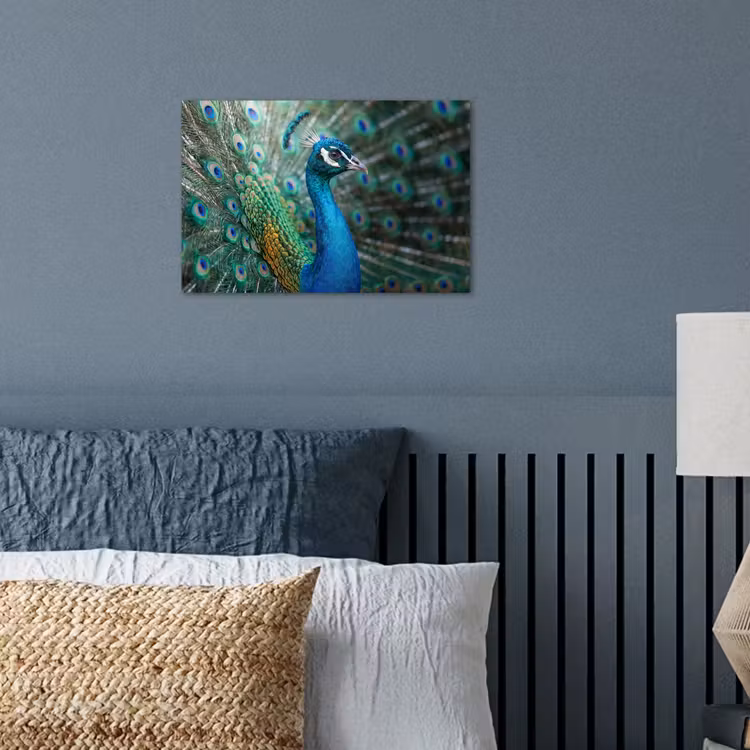 Pauw - Veren - Blauw poster papier klein -sfeer2