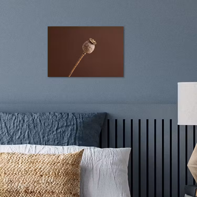 Papaverbol - Droogbloem - Bruin - Minimalistisch poster papier klein -sfeer2