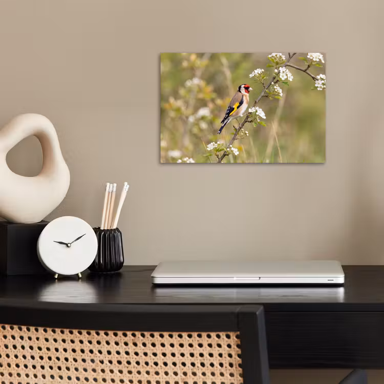 Putter - Bloesem - Lente - Natuur - Kleurrijk poster papier klein -sfeer1