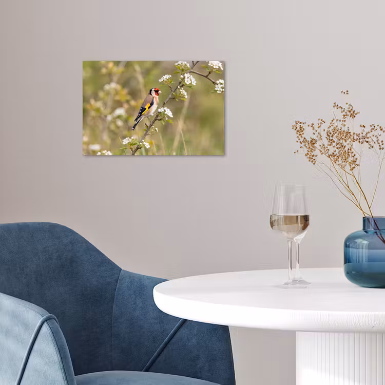 Putter - Bloesem - Lente - Natuur - Kleurrijk poster papier klein -sfeer3