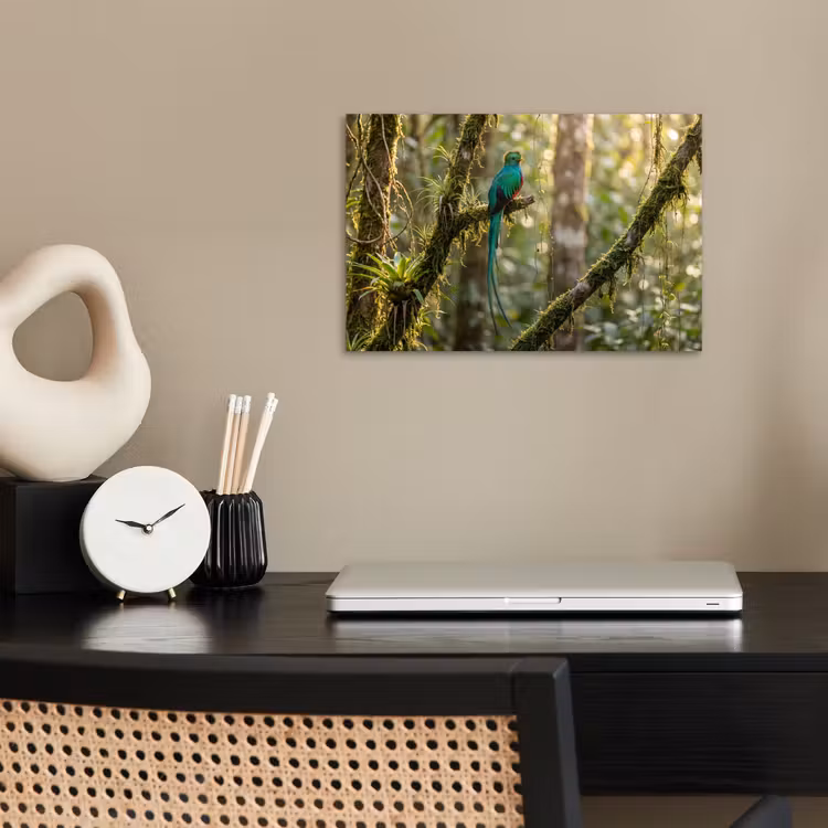 Quetzal - Jungle - Natuur - Groen poster papier klein -sfeer1
