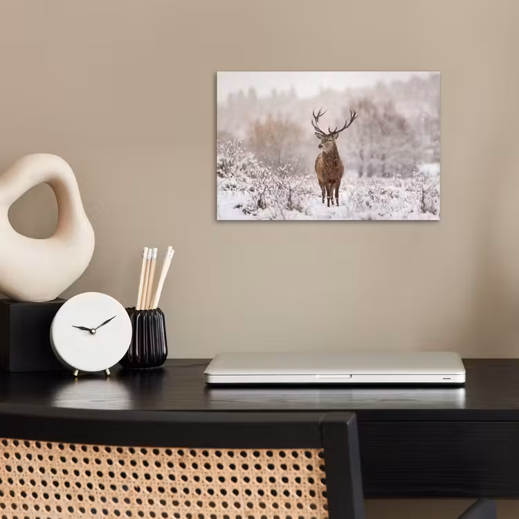 Edelhert - Bos - Sneeuw - Winter - Majestueus poster papier klein -sfeer1