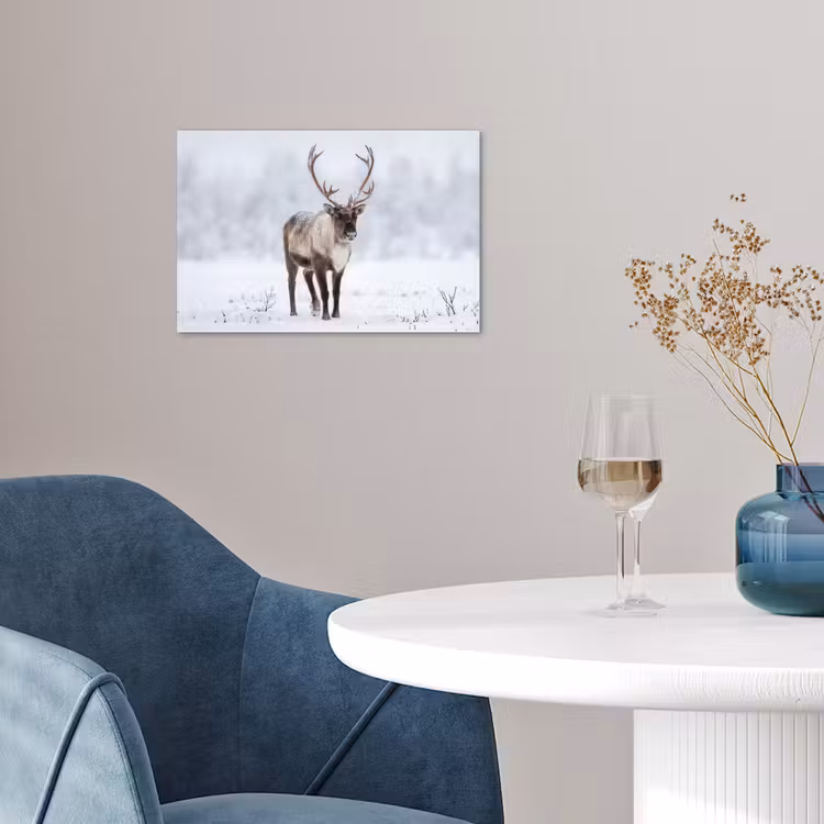 Rendier - Gewei - Toendra - Sneeuw - Wild poster papier klein -sfeer3