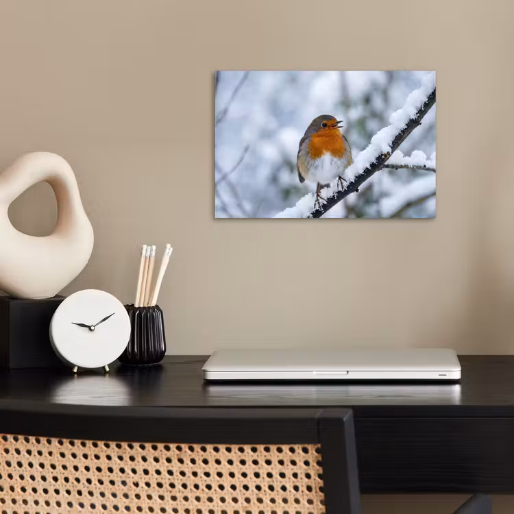 Roodborstje - Tak - Sneeuw - Winter - Levendig poster papier klein -sfeer1