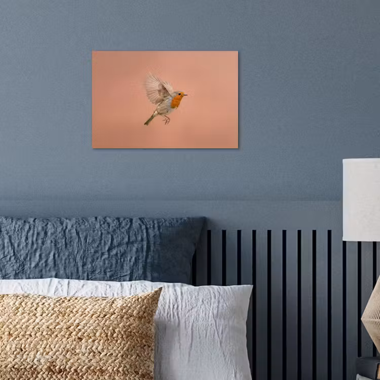 Roodborst - Natuur - Roze poster papier klein -sfeer2