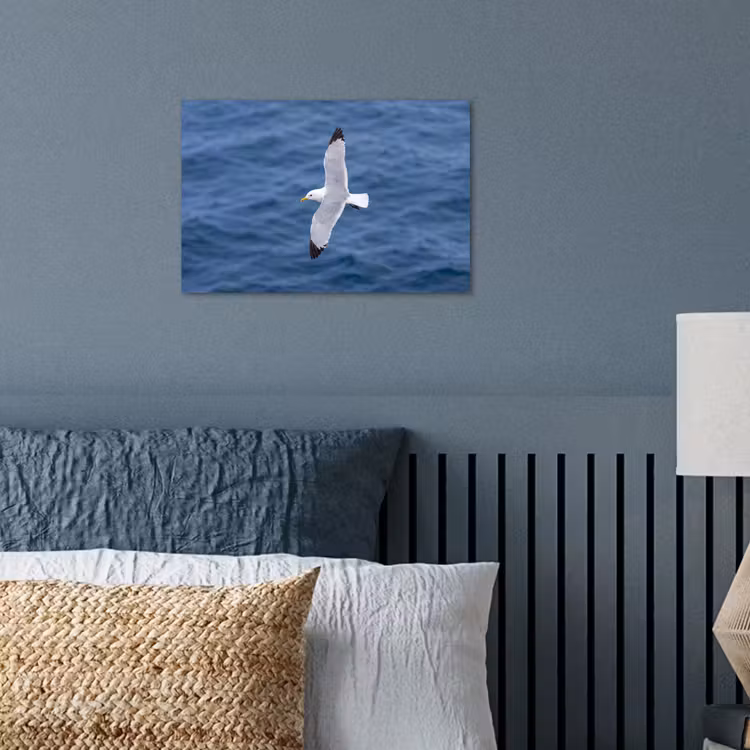 Zeemeeuw - Oceaan - Blauw poster papier klein -sfeer2