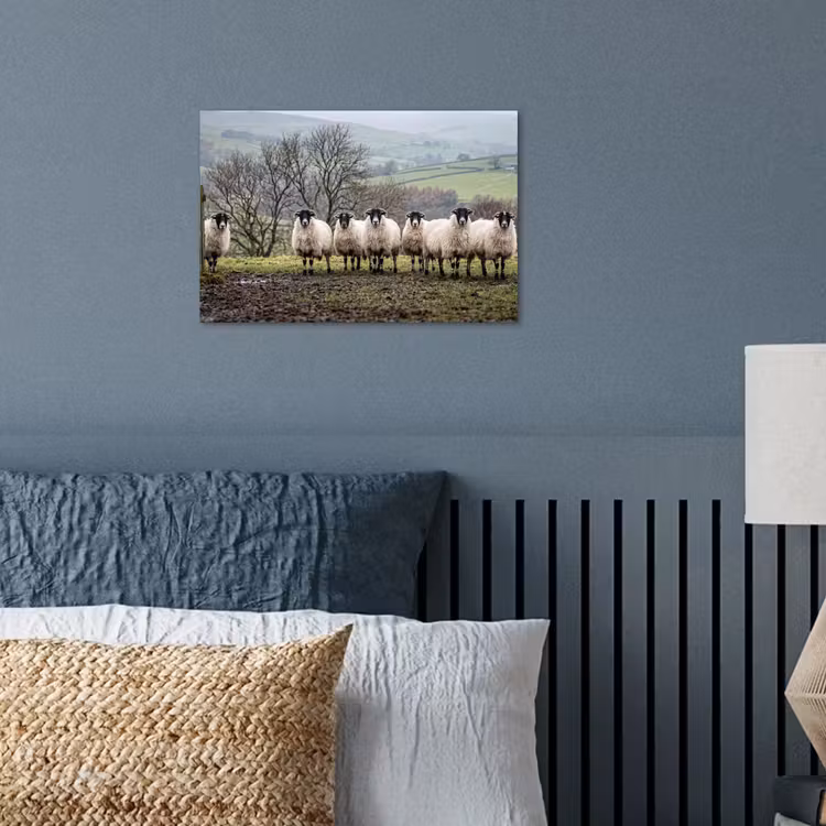 Schapen - Rij - Weide - Dieren - Platteland poster papier klein -sfeer2