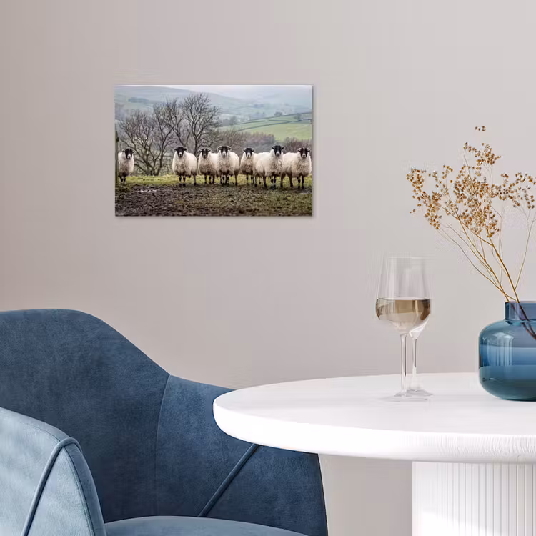 Schapen - Rij - Weide - Dieren - Platteland poster papier klein -sfeer3