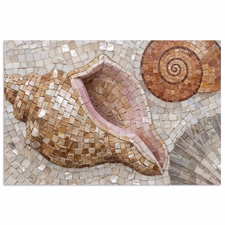 Schelp - Mozaïek - Zee - Beige - Modern poster papier klein -3d
