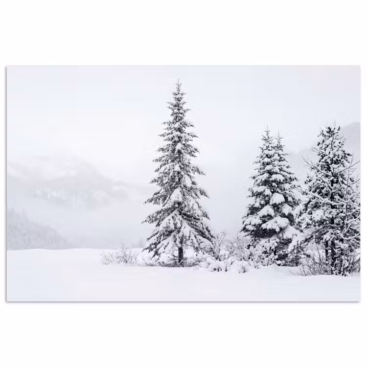 Fijnsparren - Sneeuw - Winter - Landschap - Stilte poster papier klein -3d