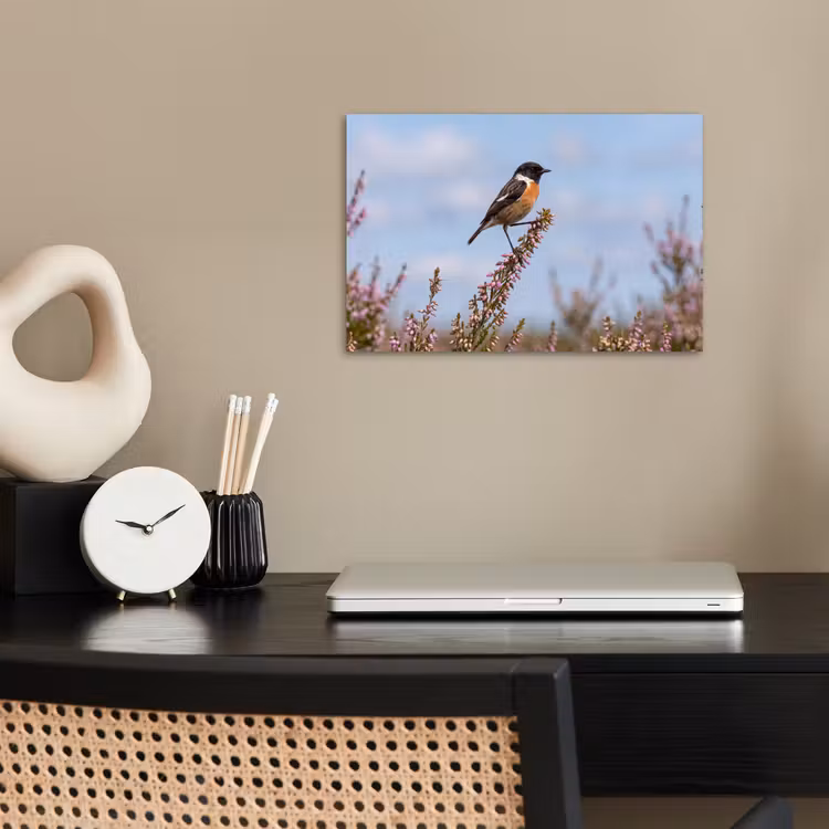 Roodborsttapuit - Heide - Paars - Natuur - Sfeervol poster papier klein -sfeer1