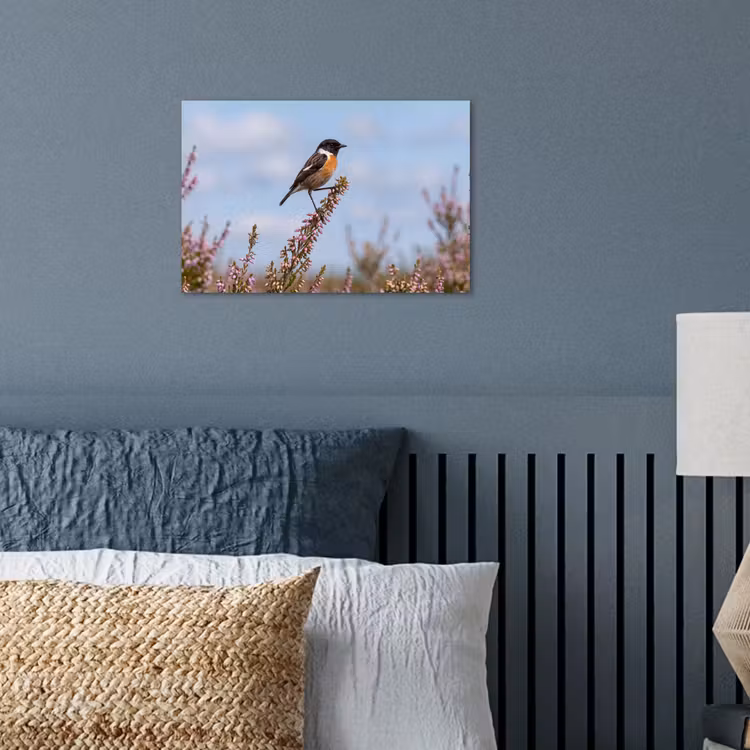 Roodborsttapuit - Heide - Paars - Natuur - Sfeervol poster papier klein -sfeer2