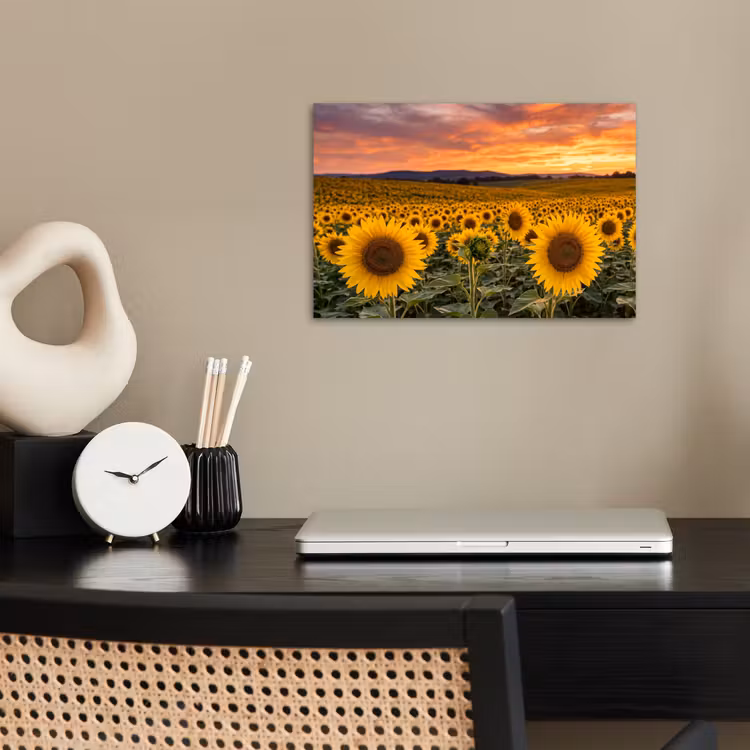 Zonnebloemen - Heuvellandschap - Geel poster papier klein -sfeer1