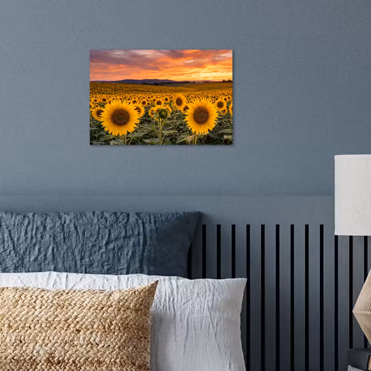 Zonnebloemen - Heuvellandschap - Geel poster papier klein -sfeer2