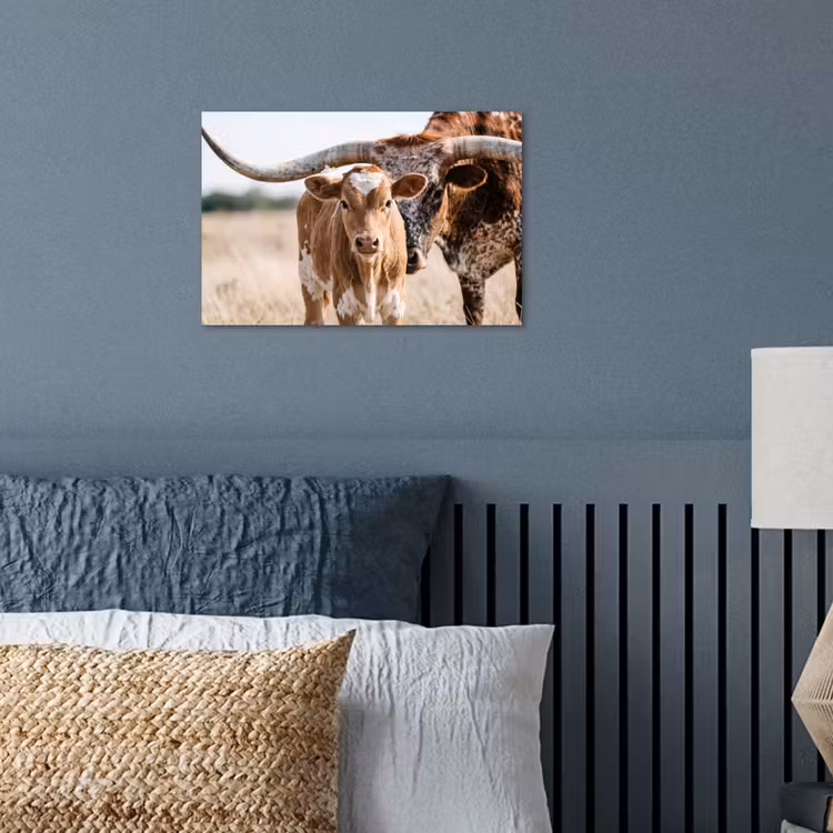 Texas Longhorn - Kalf - Weide - Dieren poster papier klein -sfeer2