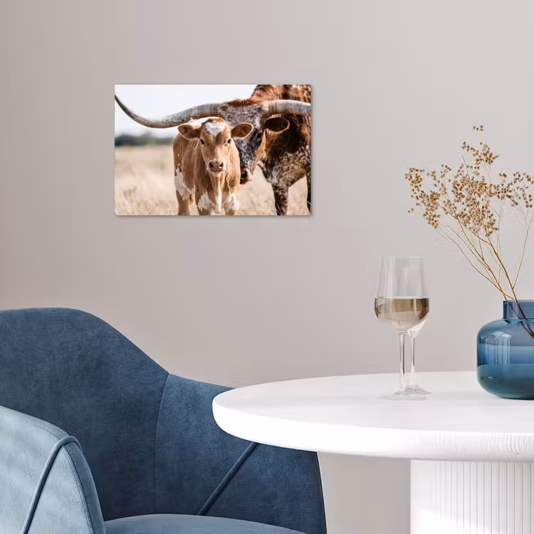 Texas Longhorn - Kalf - Weide - Dieren poster papier klein -sfeer3