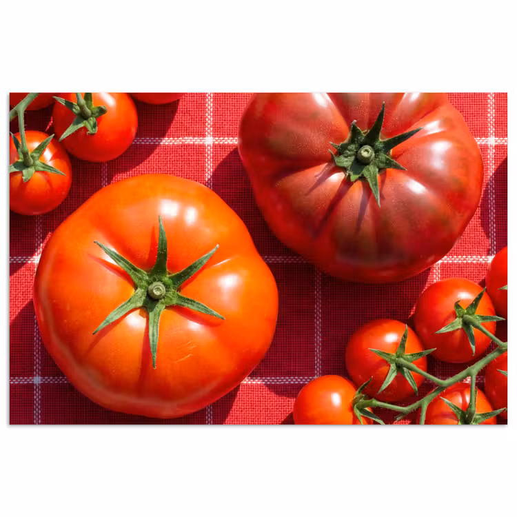 Poster - Tomato - Red - Food - Tomaat - Rood - Eten poster papier klein