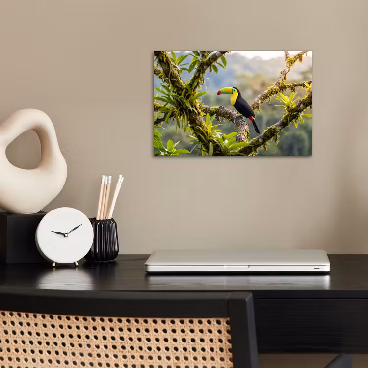 Toekan - Jungle - Natuur - Kleurrijk poster papier klein -sfeer1