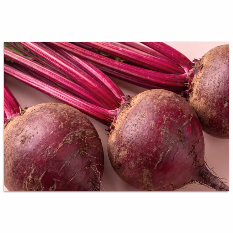 Poster - Vegetables - Red - Fresh - Groente - Rood - Vers poster papier klein
