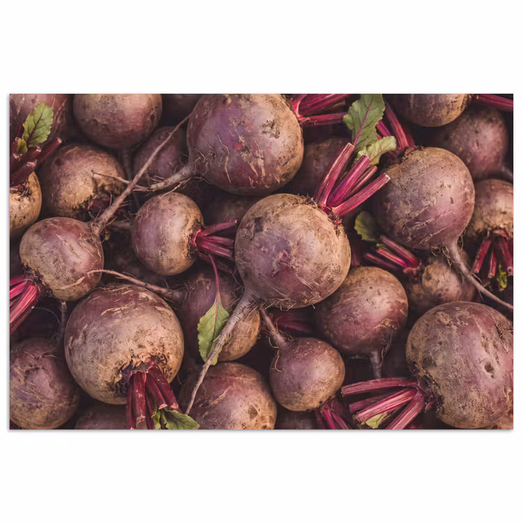 Poster - Vegetables - Red - Natural - Groente - Rood - Natuur poster papier klein
