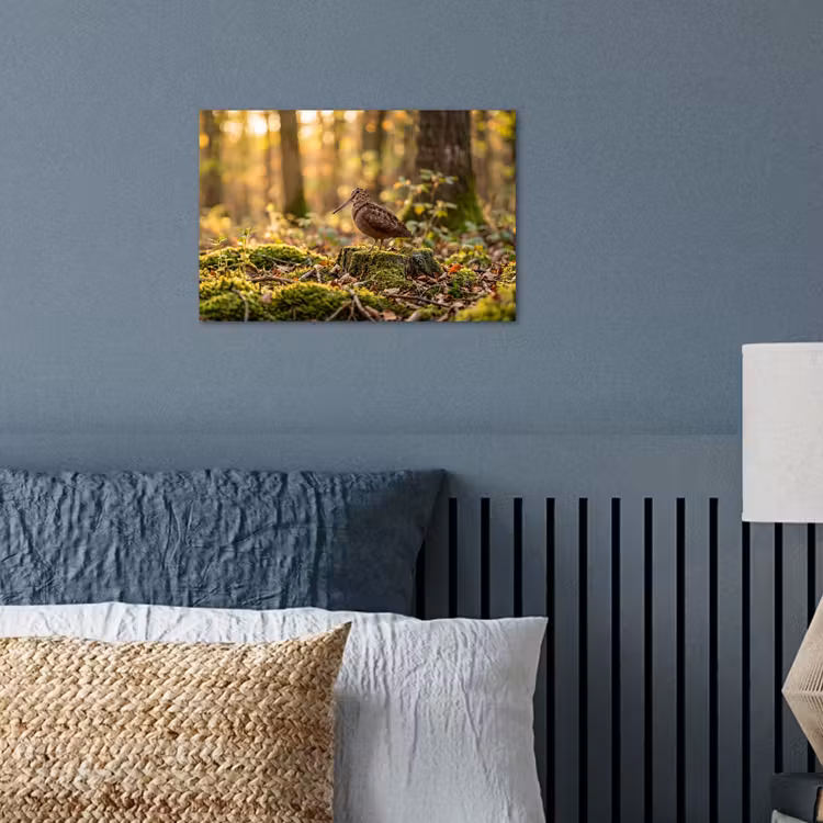 Houtsnip - Bos - Bladeren - Herfst - Gecamoufleerd poster papier klein -sfeer2