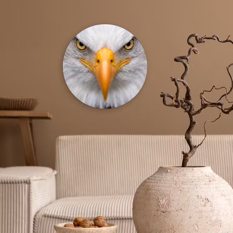 Amerikaans - Zeearend - Portret - Geel Wandcirkel kunststof plaat 5mm dik klein -sfeer1