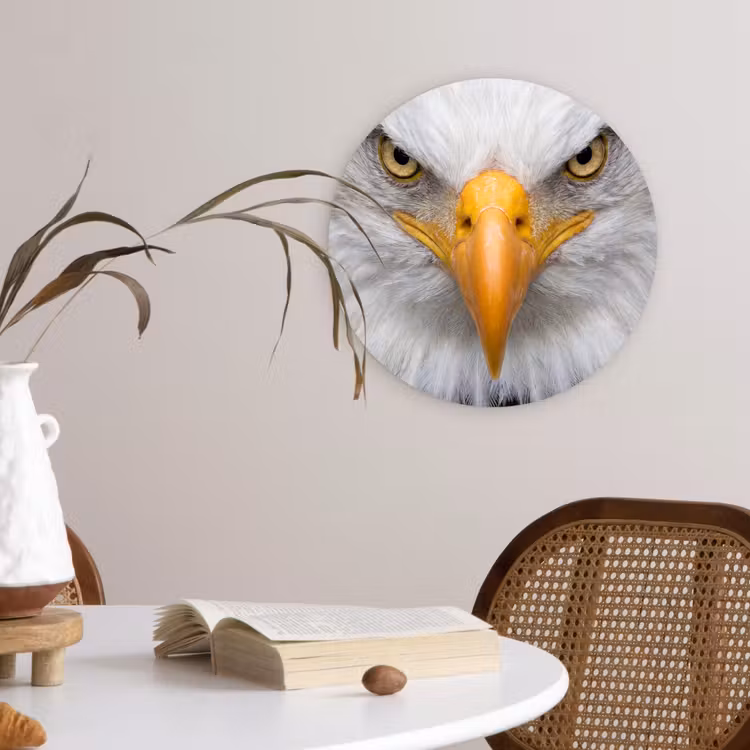 Amerikaans - Zeearend - Portret - Geel Wandcirkel kunststof plaat 5mm dik klein -sfeer4