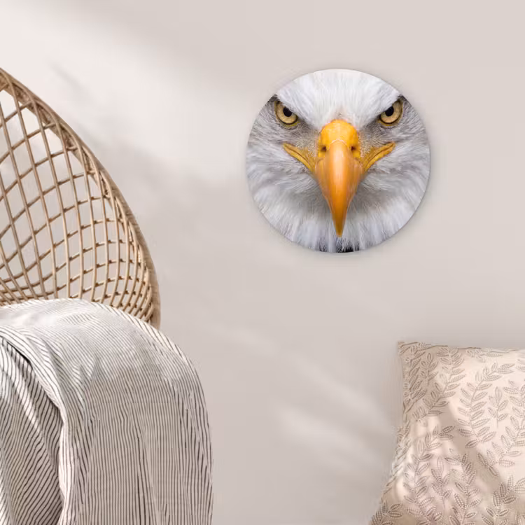 Amerikaans - Zeearend - Portret - Geel Wandcirkel kunststof plaat 5mm dik klein -sfeer5