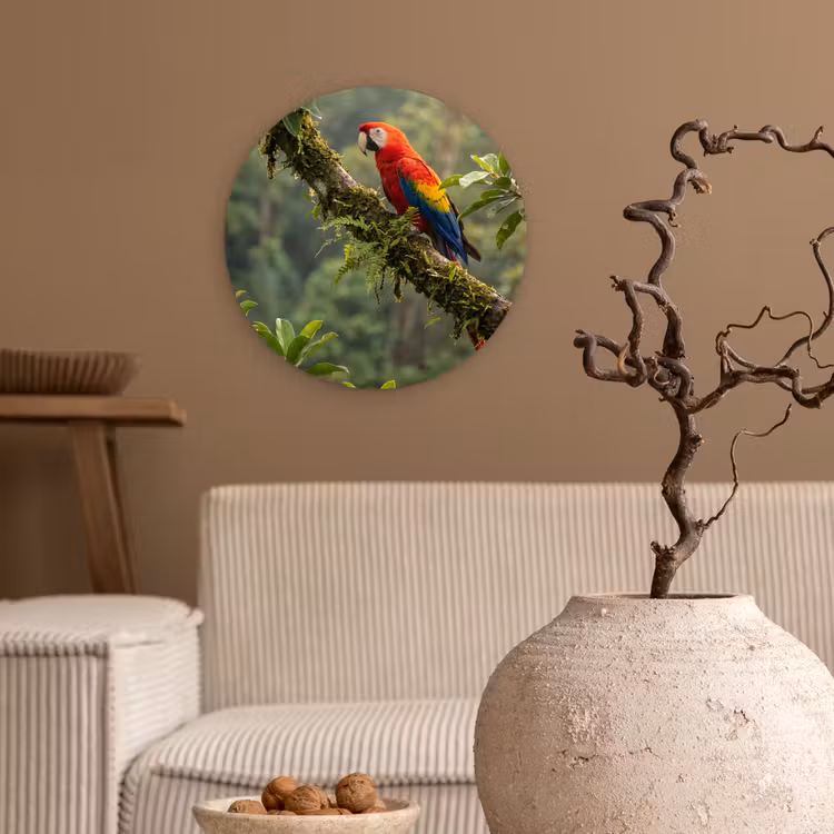 Ara - Jungle - Rood Wandcirkel kunststof plaat 5mm dik klein -sfeer1