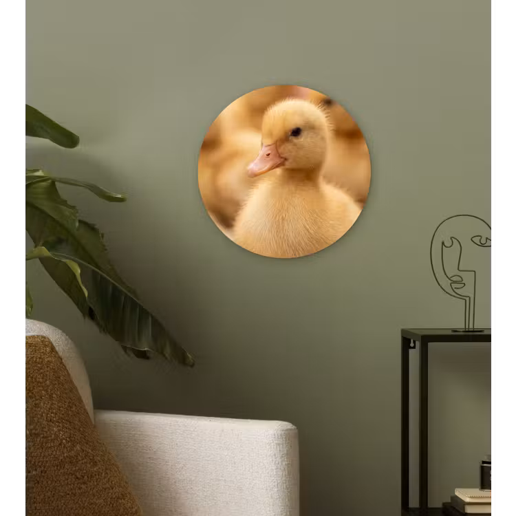 Pijltje - Eend - Natuur - Geel Wandcirkel kunststof plaat 5mm dik klein -sfeer3