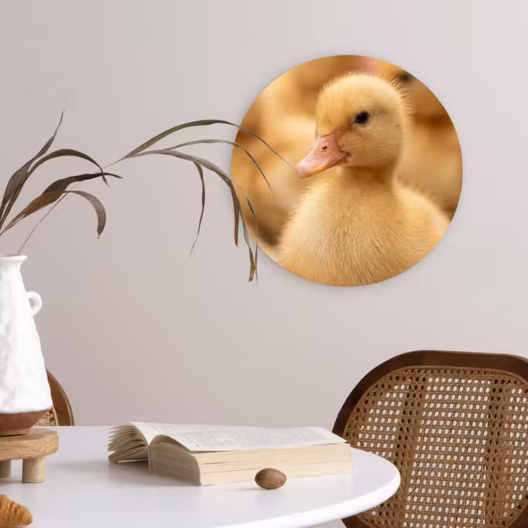 Pijltje - Eend - Natuur - Geel Wandcirkel kunststof plaat 5mm dik klein -sfeer4