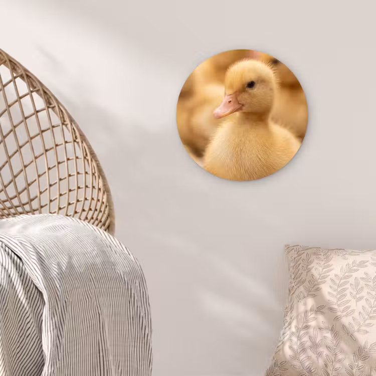 Pijltje - Eend - Natuur - Geel Wandcirkel kunststof plaat 5mm dik klein -sfeer5