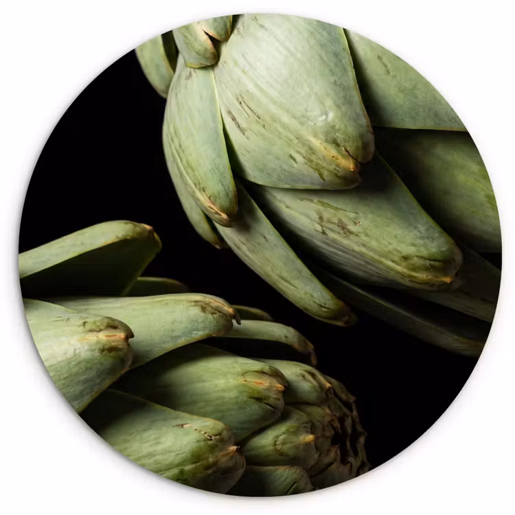 round wall art - Artichoke - Green - Food - Artisjok - Groen - Eten Wandcirkel kunststof plaat 5mm dik klein
