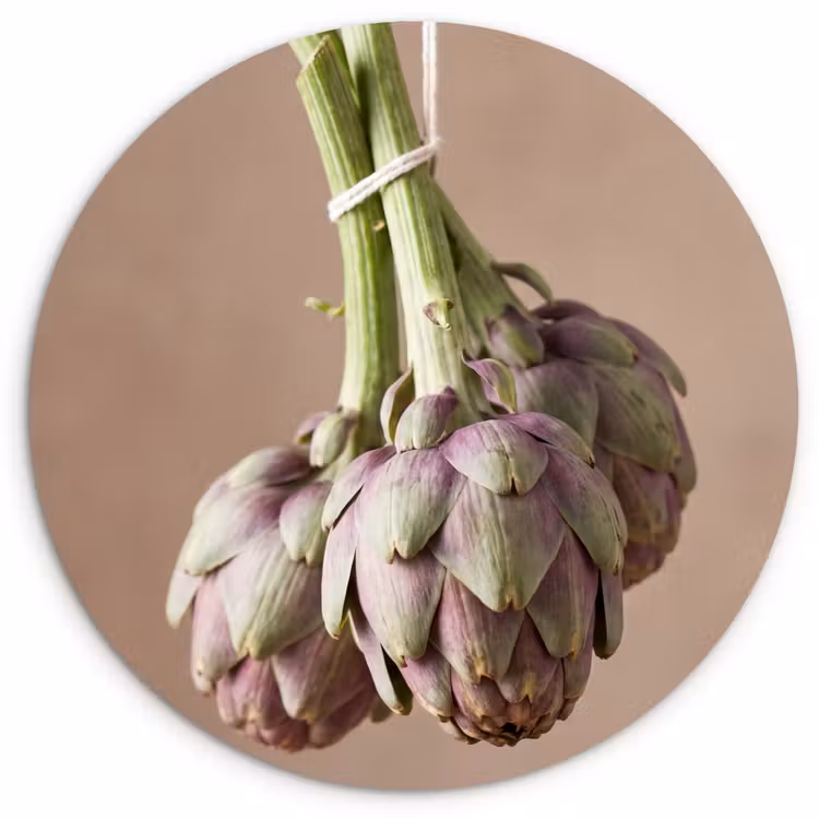 round wall art - Artichokes - Hanging - Vegetables - Artisjokken - Hangend - Groenten Wandcirkel kunststof plaat 5mm dik klein