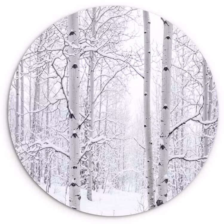 Berkenbomen - Sneeuw - Winter - Bos - Wit Wandcirkel kunststof plaat 5mm dik klein -3d