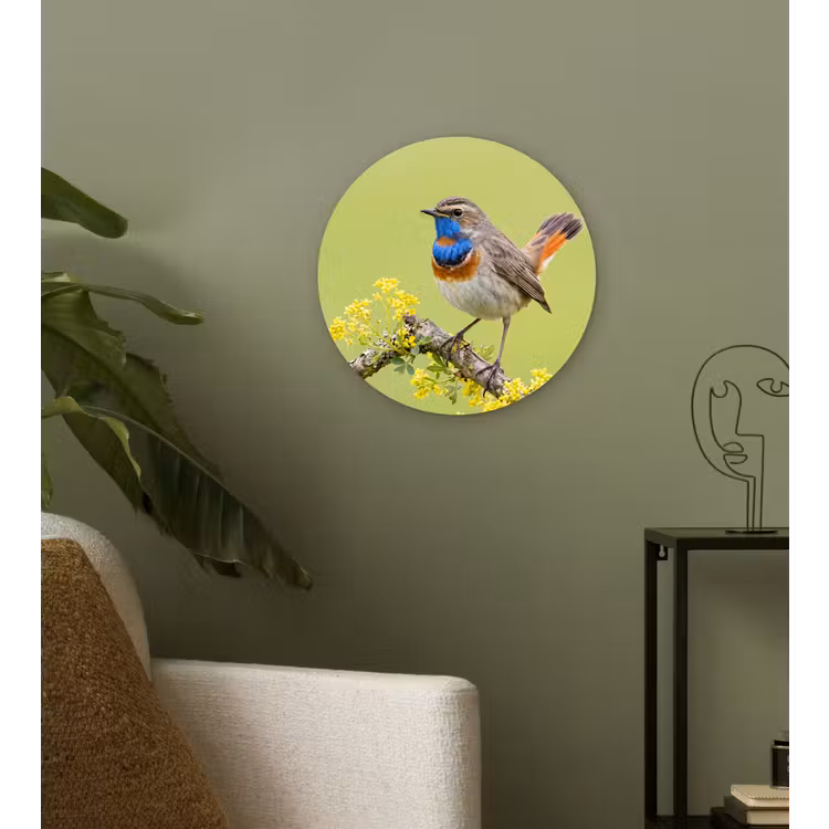 Vogel - Tak - Natuur - Kleurrijk Wandcirkel kunststof plaat 5mm dik klein -sfeer3