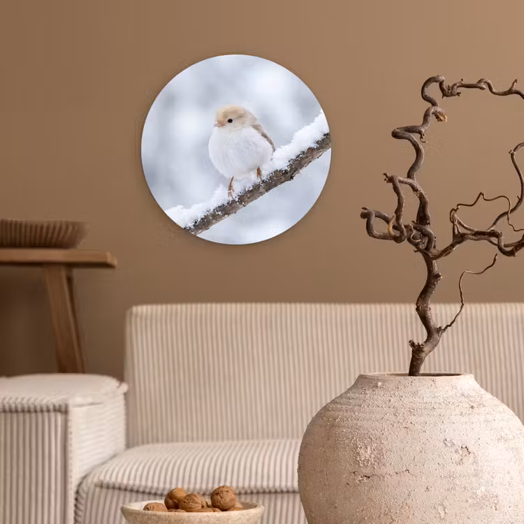 Vogeltje - Sneeuw - Tak - Winter - Zacht Wandcirkel kunststof plaat 5mm dik klein -sfeer1