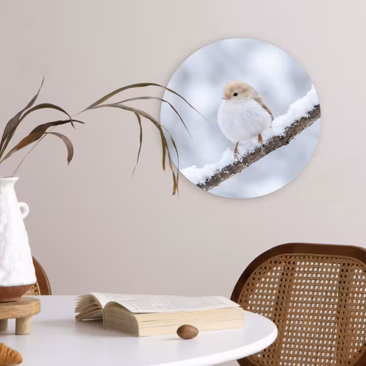 Vogeltje - Sneeuw - Tak - Winter - Zacht Wandcirkel kunststof plaat 5mm dik klein -sfeer4