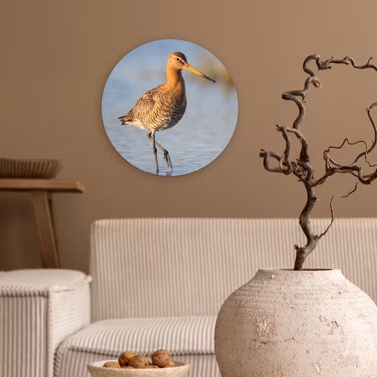 Vogel - Steltloper - Water - Natuur Wandcirkel kunststof plaat 5mm dik klein -sfeer1