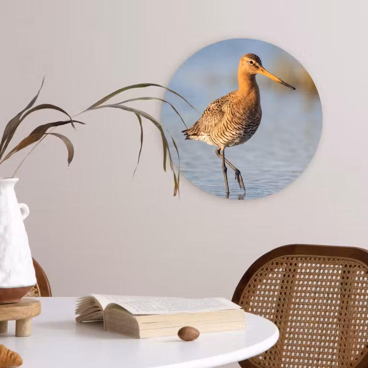Vogel - Steltloper - Water - Natuur Wandcirkel kunststof plaat 5mm dik klein -sfeer4