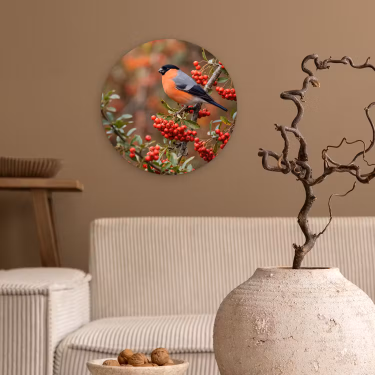 Goudvink - Bessen - Herfst - Natuur - Kleurrijk Wandcirkel kunststof plaat 5mm dik klein -sfeer1