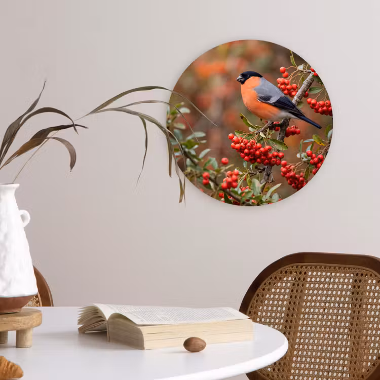 Goudvink - Bessen - Herfst - Natuur - Kleurrijk Wandcirkel kunststof plaat 5mm dik klein -sfeer4