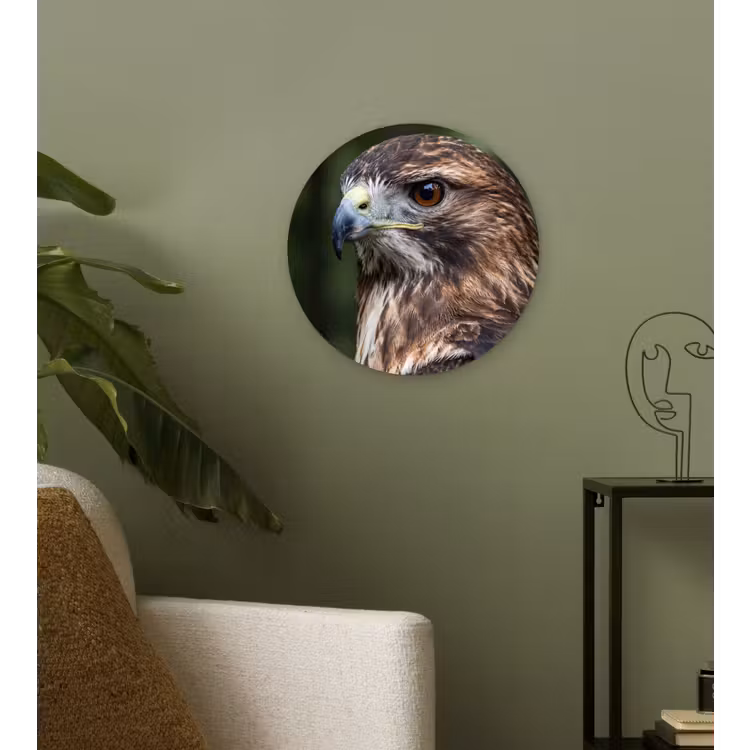 Buizerd - Roofvogel - Natuur - Bruin Wandcirkel kunststof plaat 5mm dik klein -sfeer3