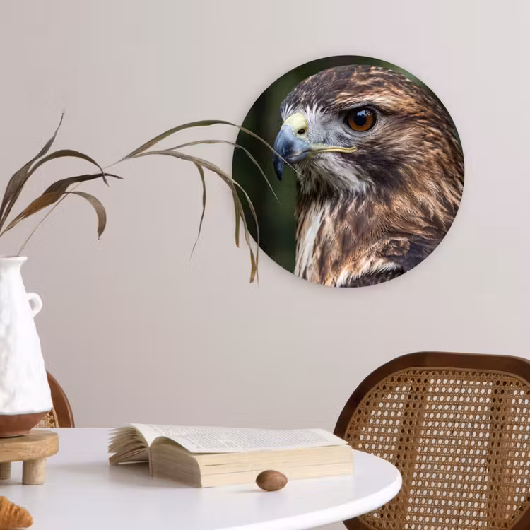 Buizerd - Roofvogel - Natuur - Bruin Wandcirkel kunststof plaat 5mm dik klein -sfeer4